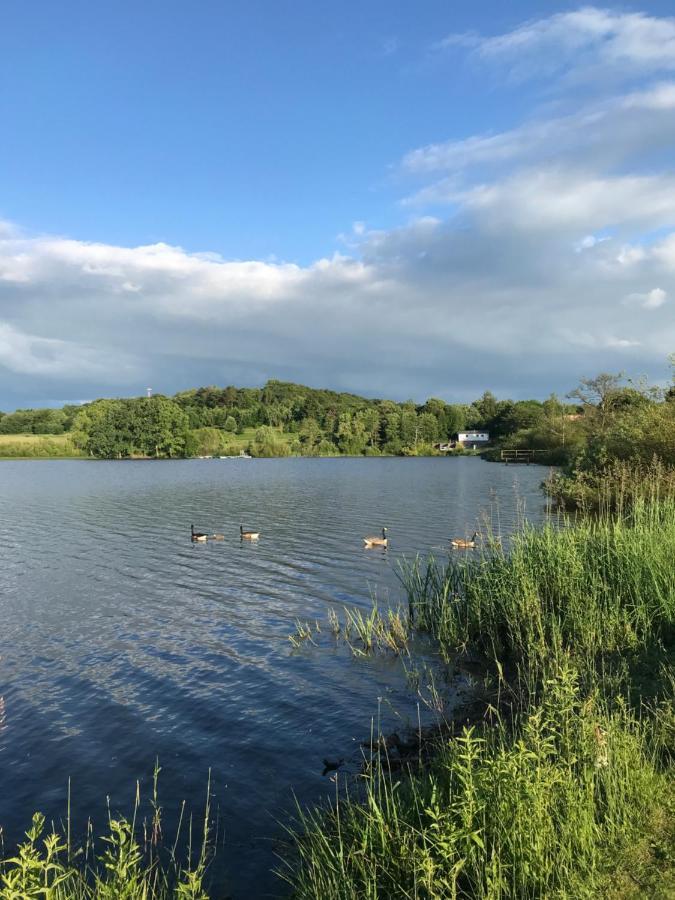 Vulkan-Nest In Der Eifel Ulmen Esterno foto